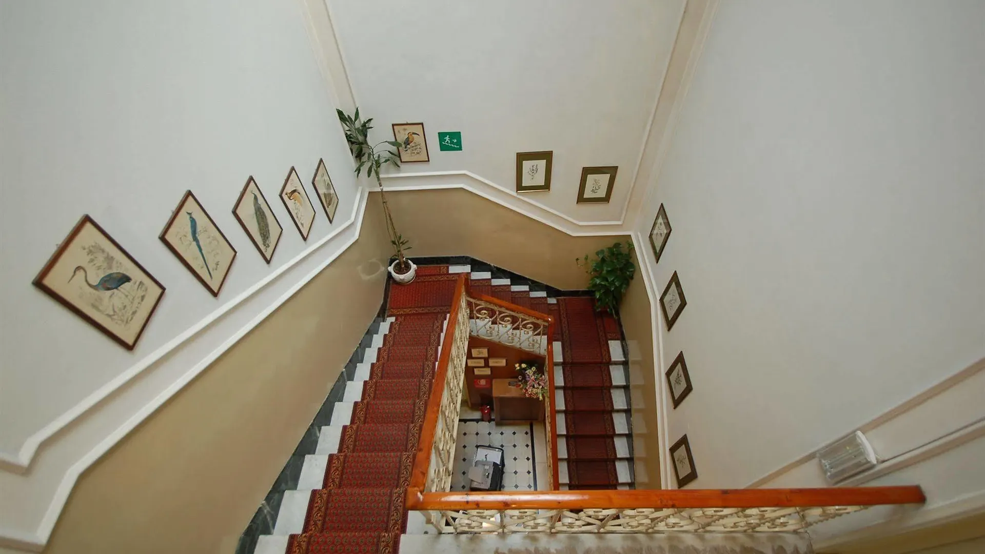 **  Hotel Ely Viareggio Italia