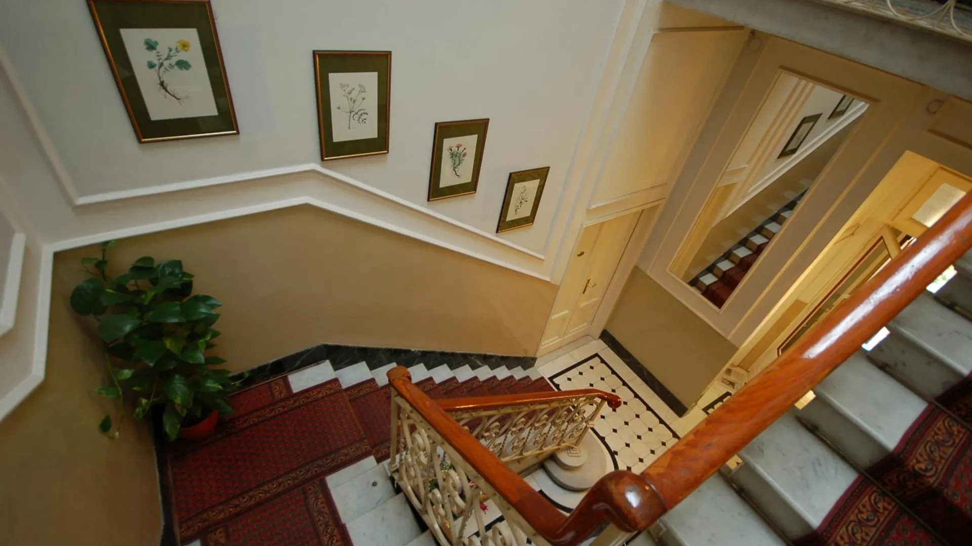 Hotel Ely Viareggio